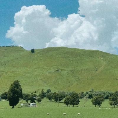 乐彩彩票welcomeapp下载