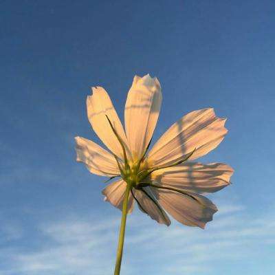 江南体育app下载方式最新