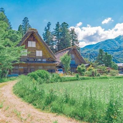 皇冠体育手机版软件