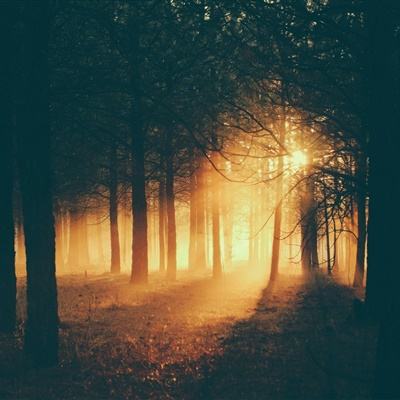 皇冠体育手机版软件