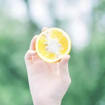 bob官方体育综合下载截图